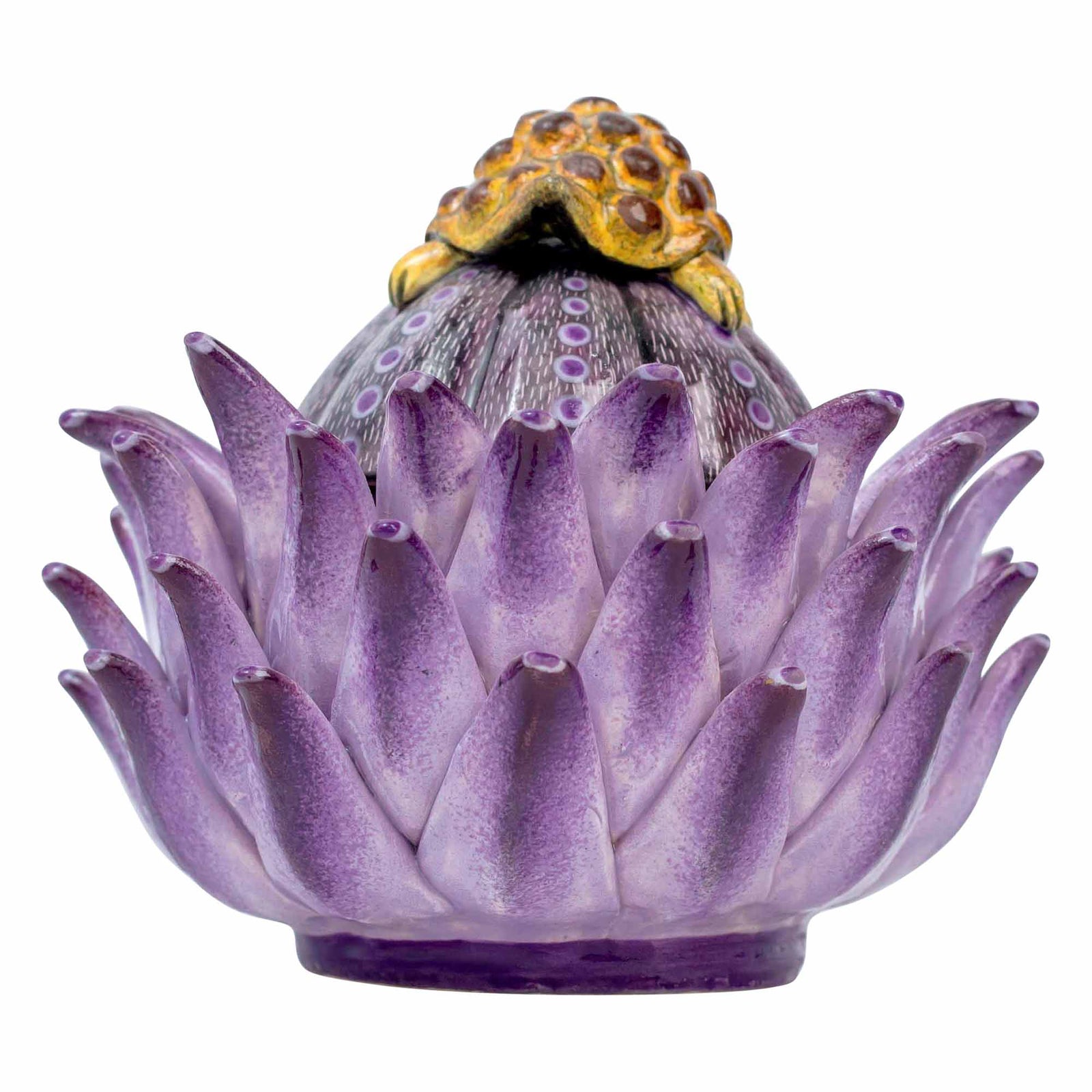 Tortoise/Protea Jewelry Box