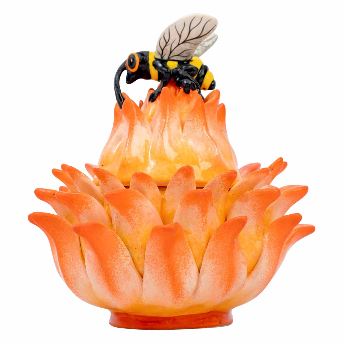 Butterfly, Protea Jewelry Box