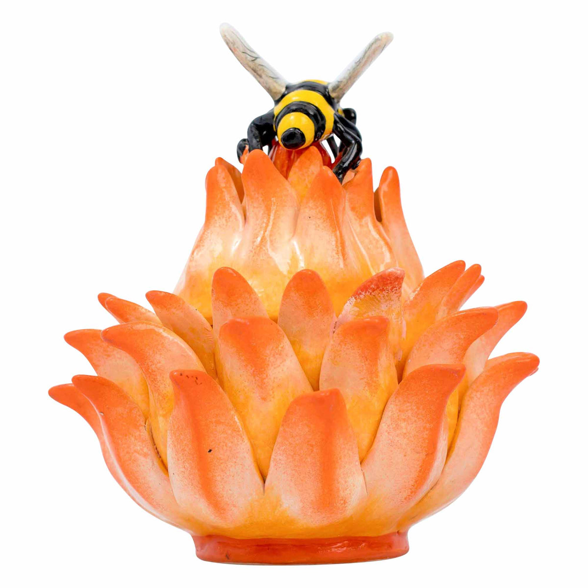 Butterfly, Protea Jewelry Box