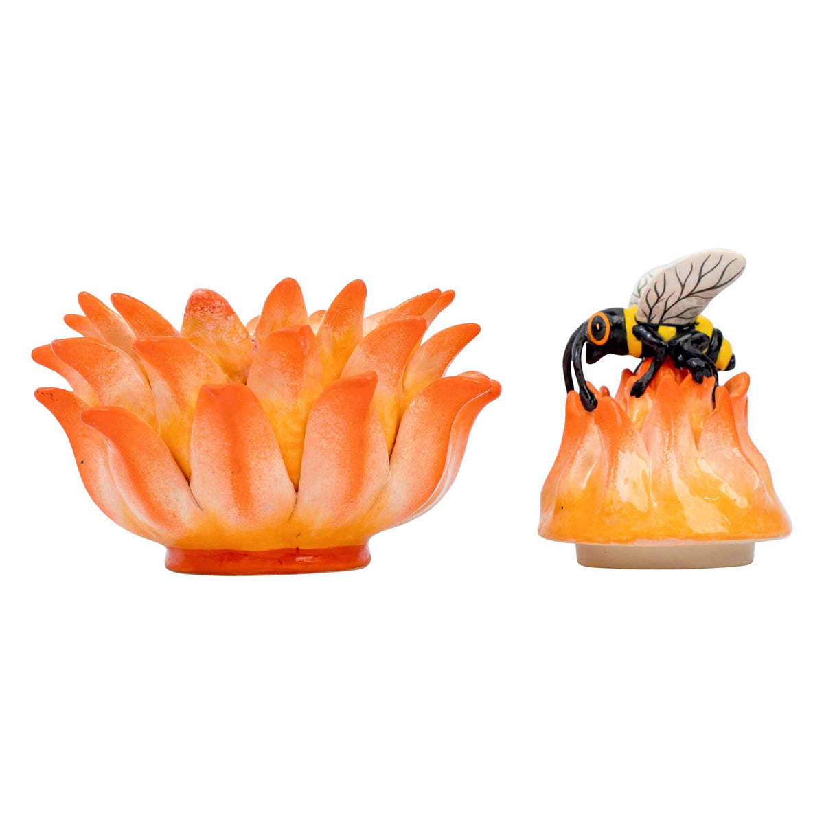Butterfly, Protea Jewelry Box