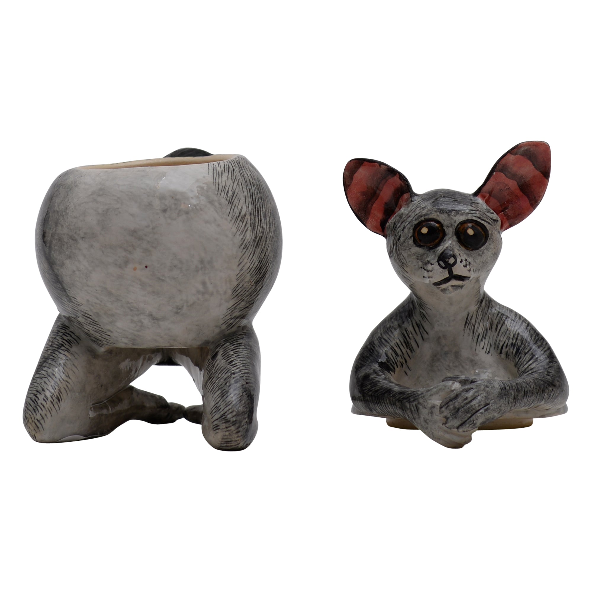 Bush Baby Jewelry Box