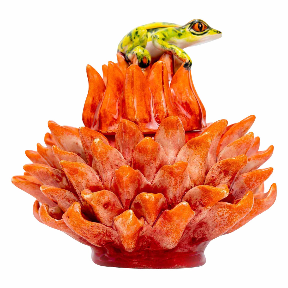 Frog, Protea Jewelry Box