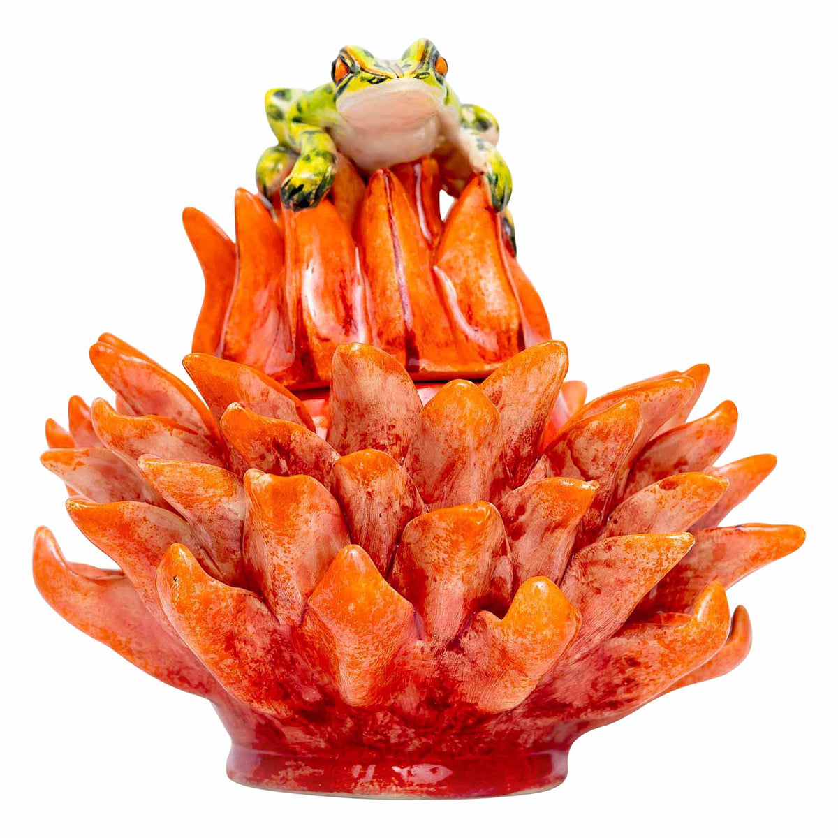 Frog, Protea Jewelry Box