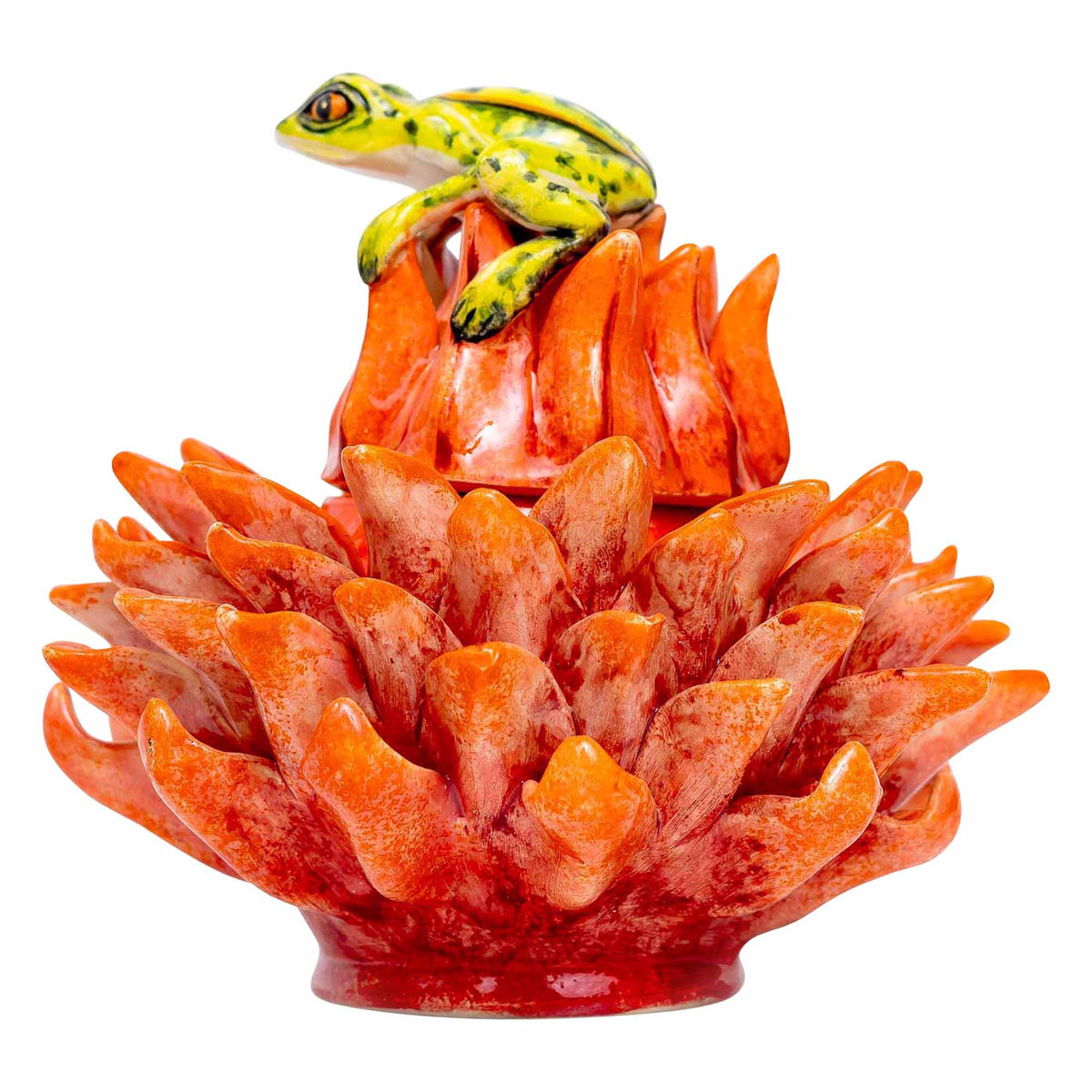 Frog, Protea Jewelry Box