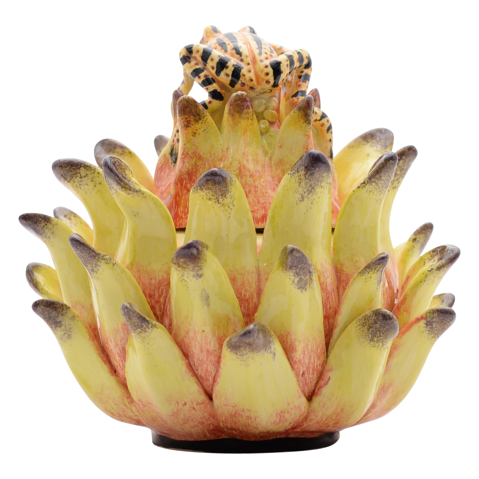 Frog, Protea Jewelry Box