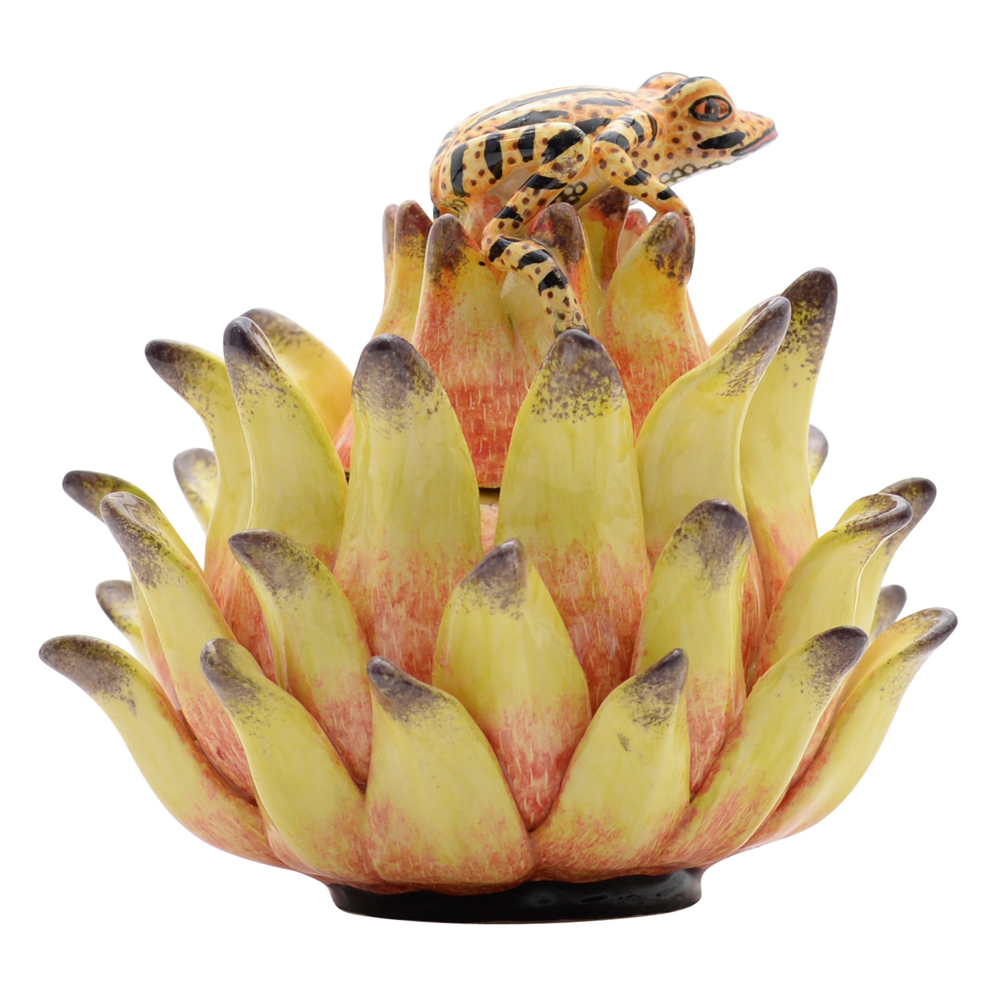 Frog, Protea Jewelry Box