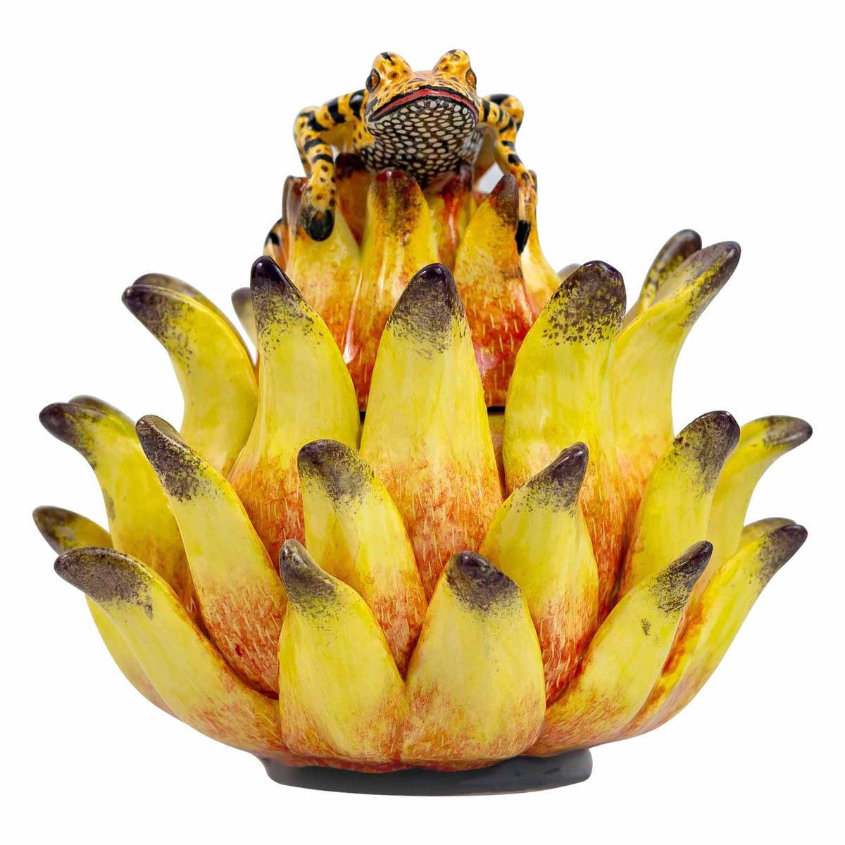 Frog, Protea Jewelry Box