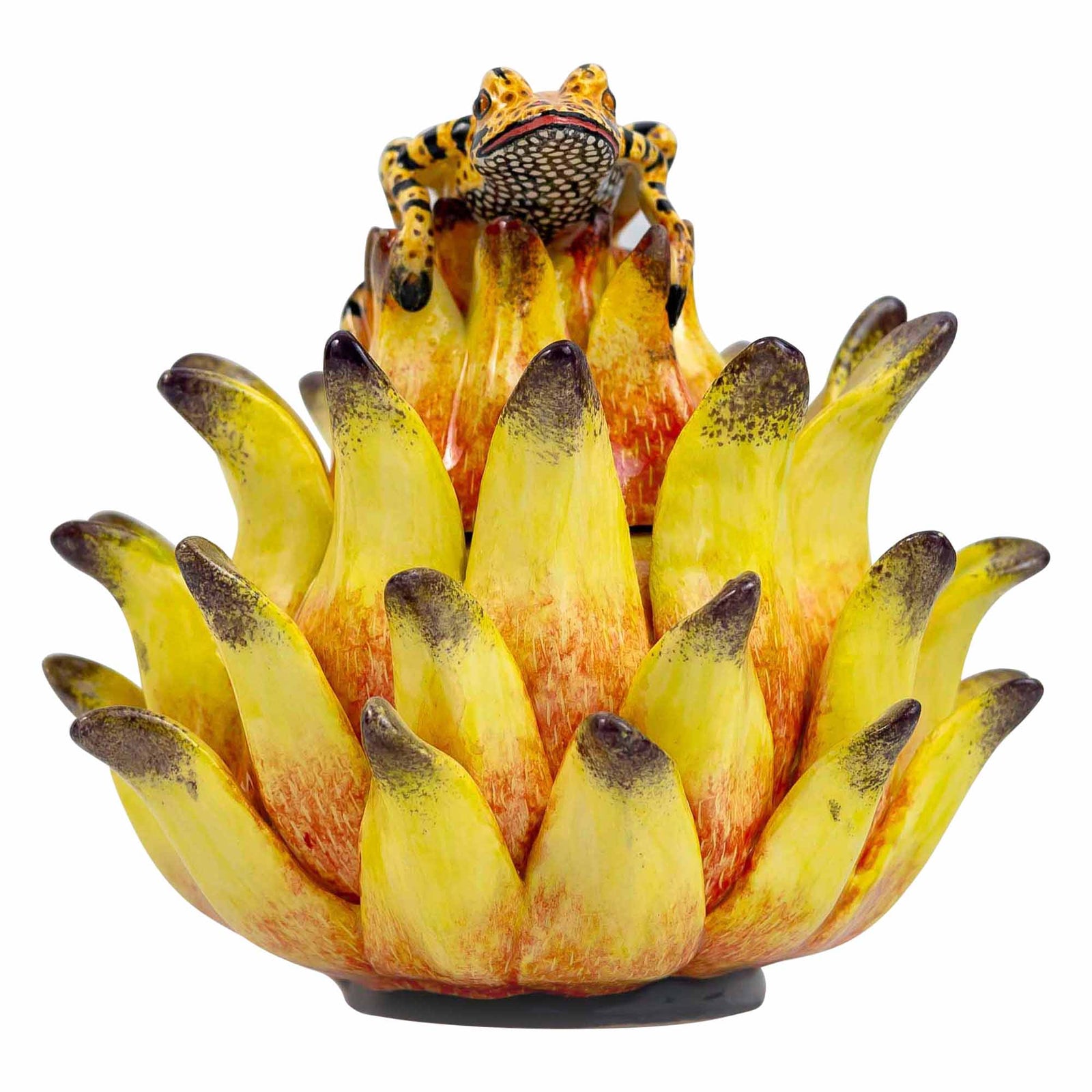 Frog, Protea Jewelry Box