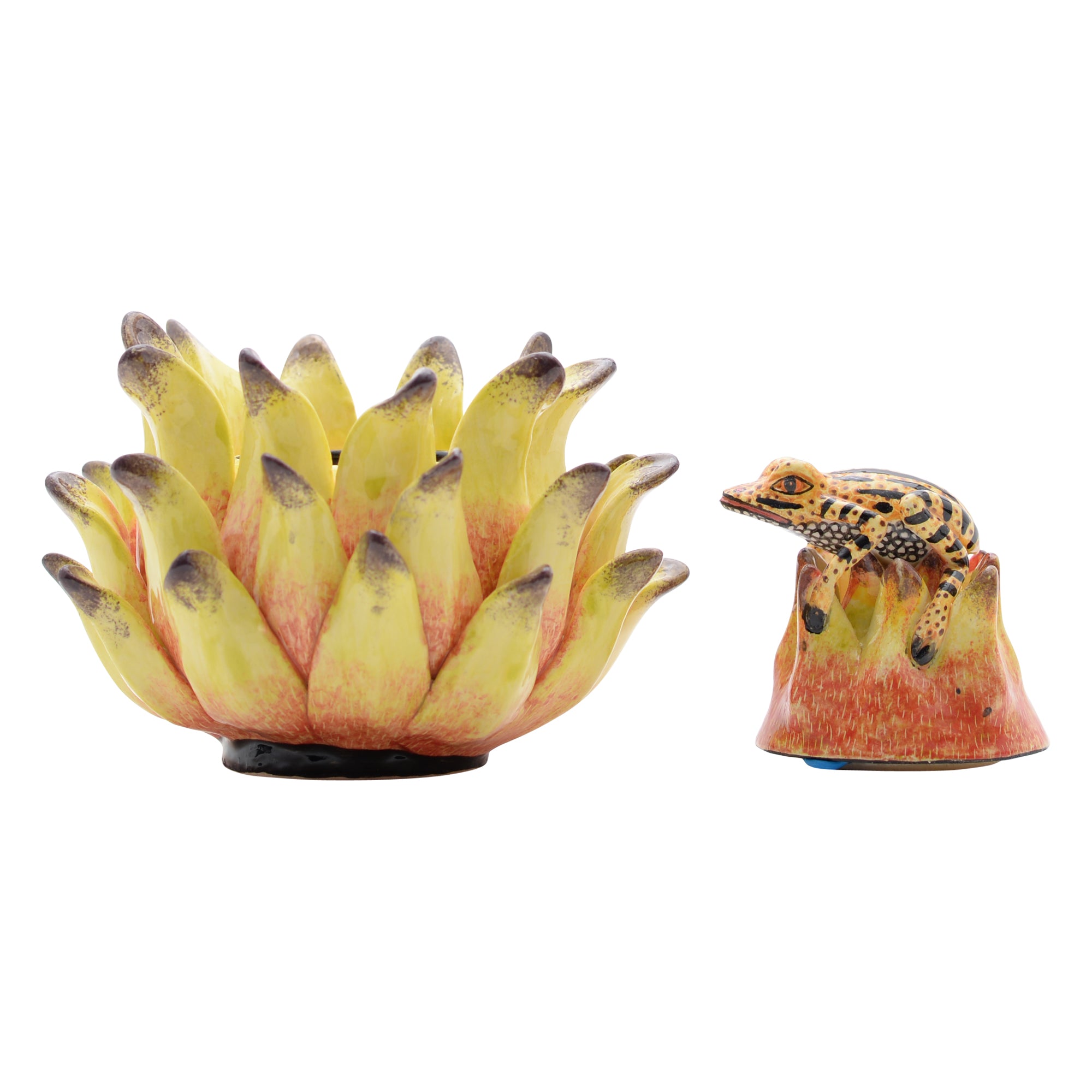 Frog, Protea Jewelry Box