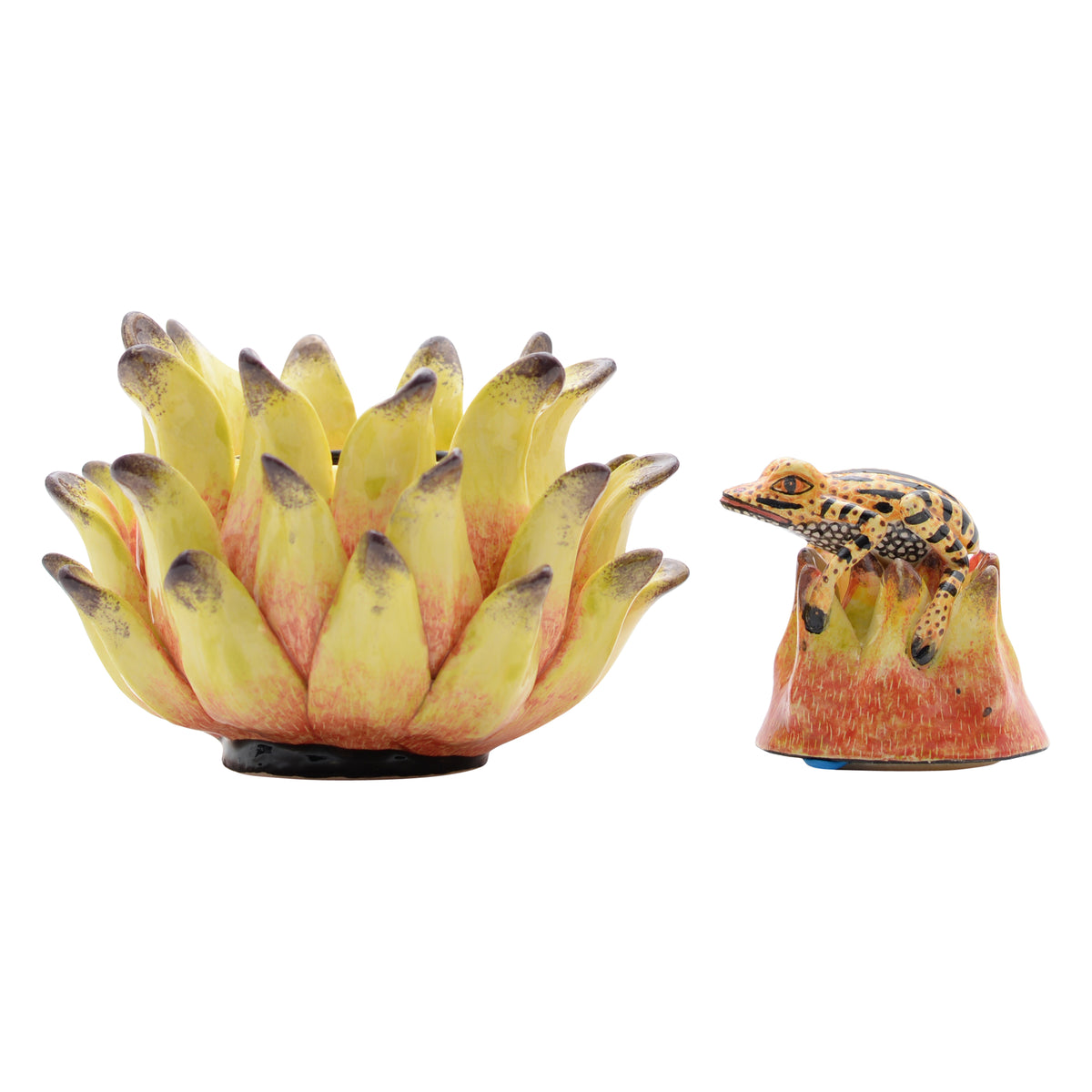 Frog, Protea Jewelry Box