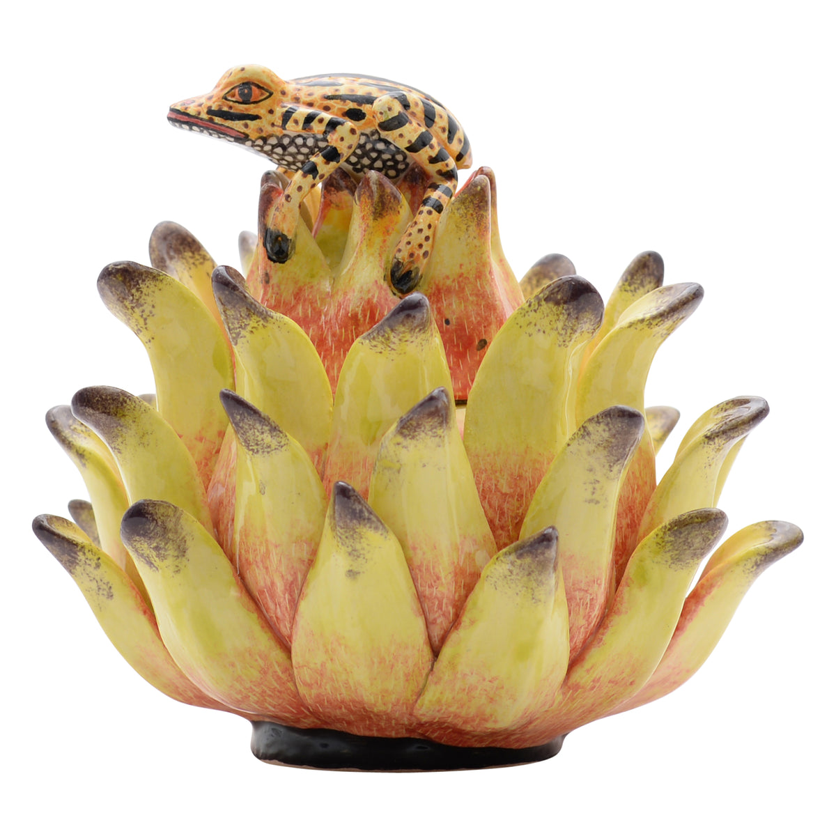 Frog, Protea Jewelry Box