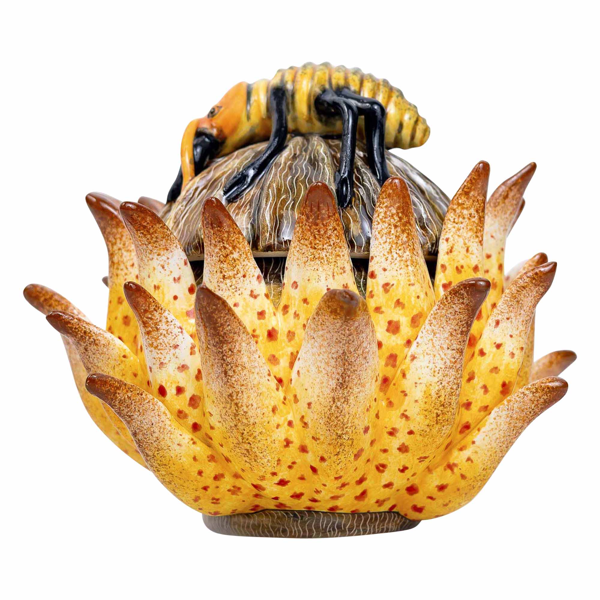 Protea Ant Jewelry Box