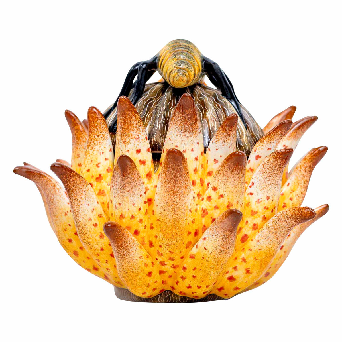 Protea Ant Jewelry Box