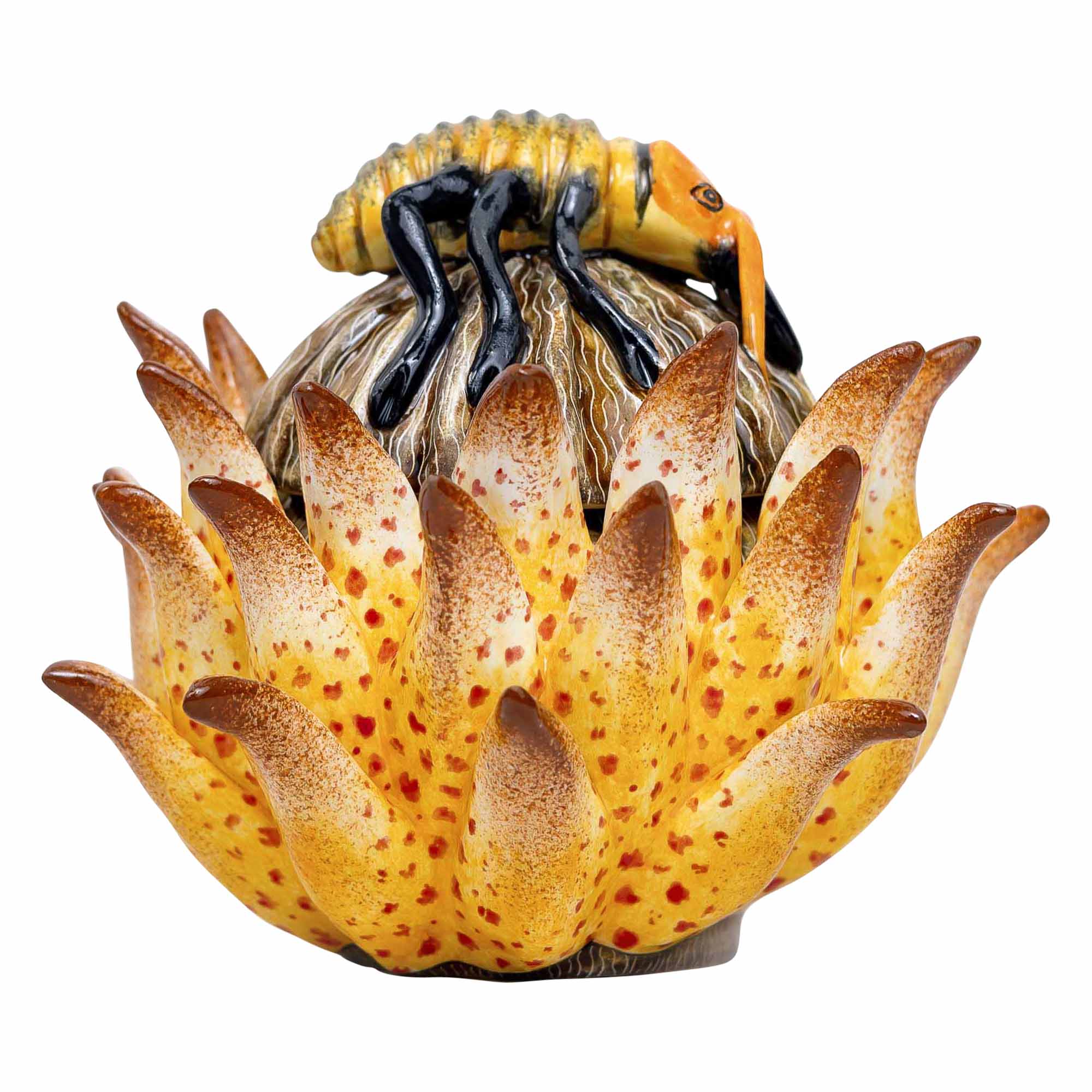 Protea Ant Jewelry Box