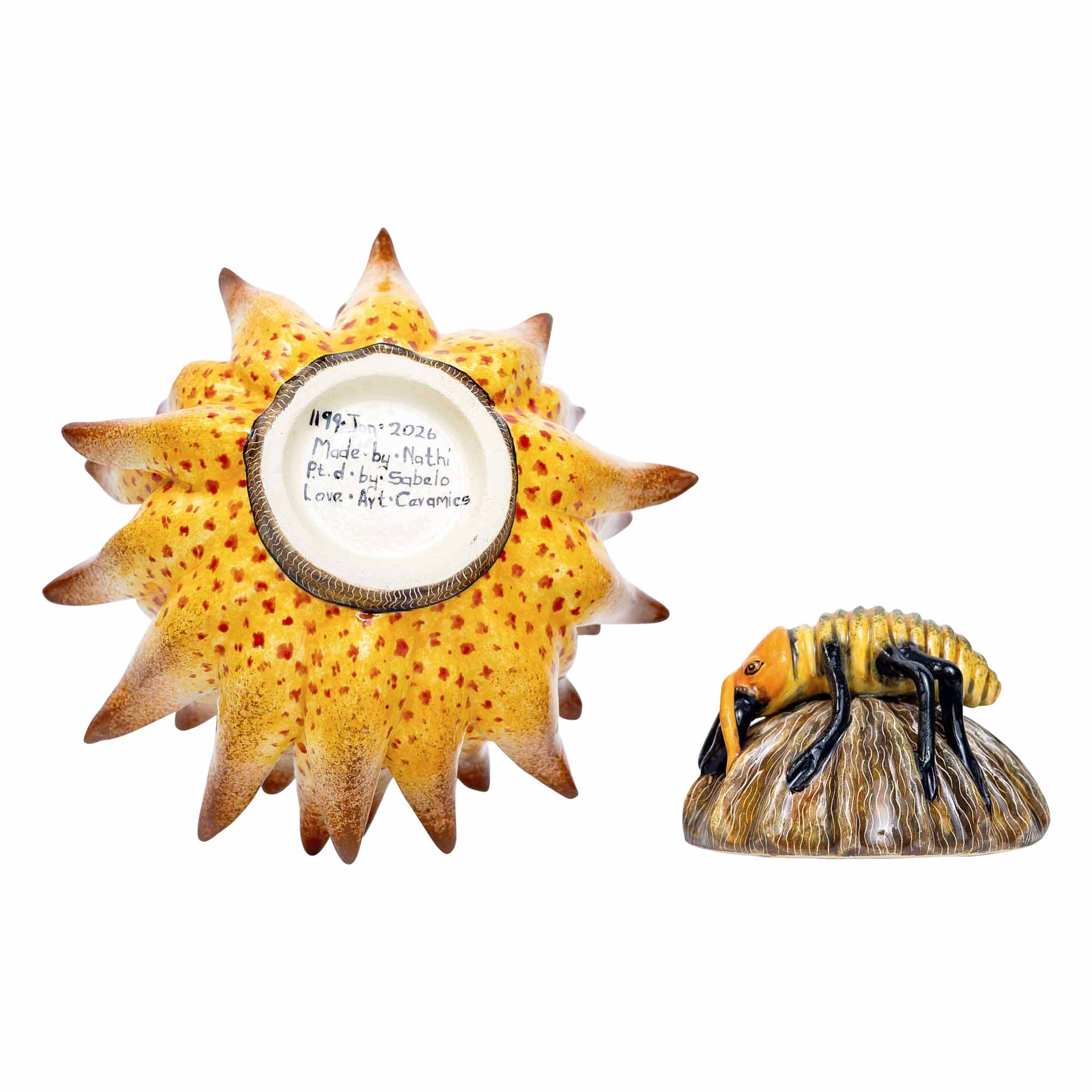Protea Ant Jewelry Box