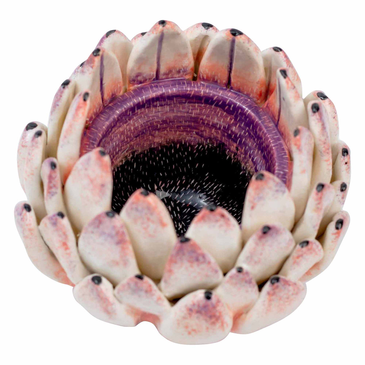Protea Eggcup