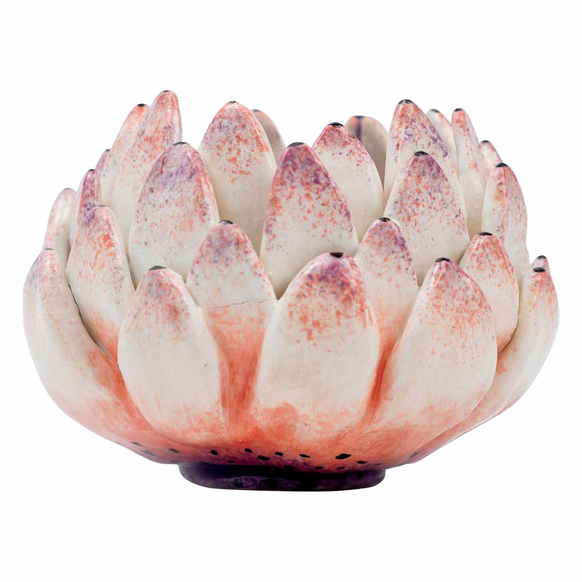 Protea Eggcup
