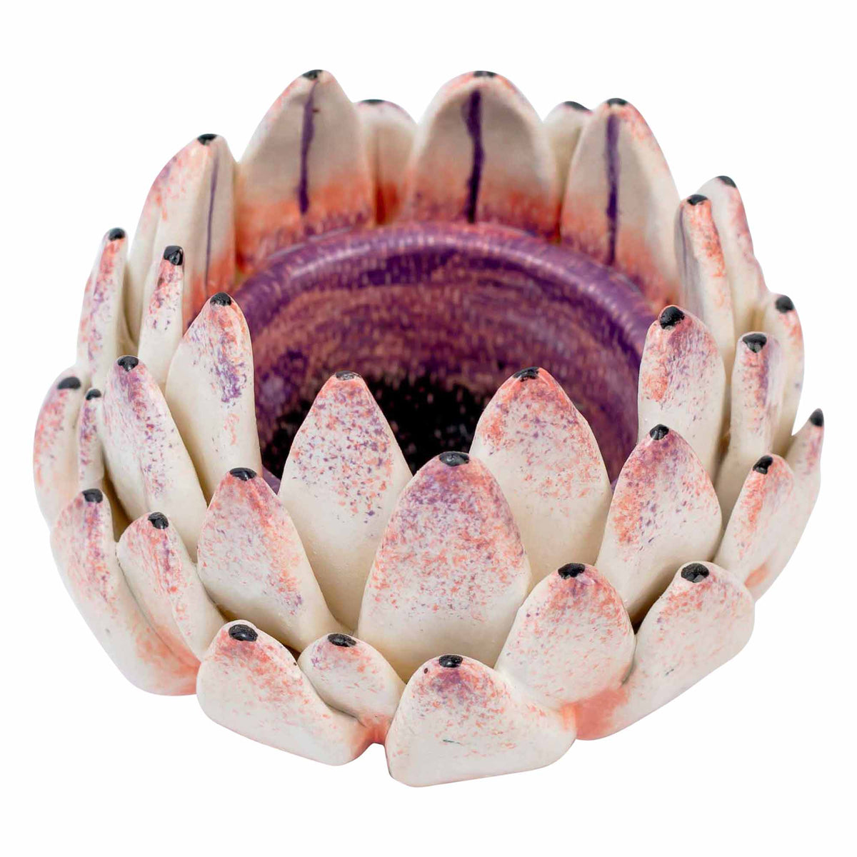 Protea Eggcup