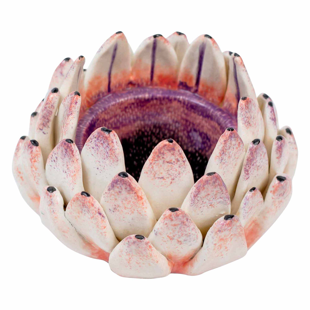 Protea Eggcup