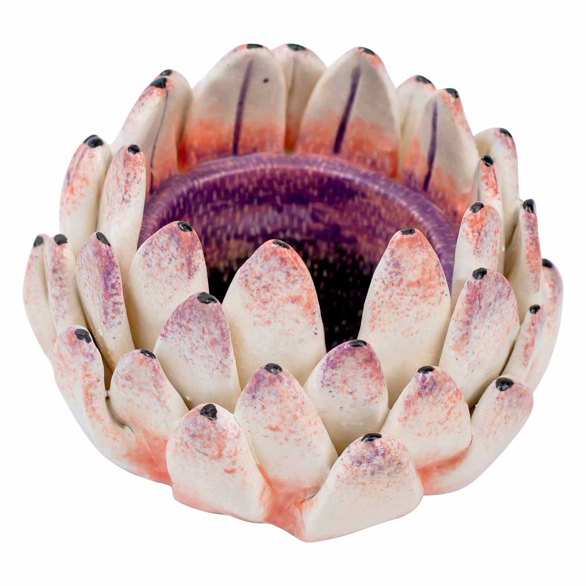 Protea Eggcup