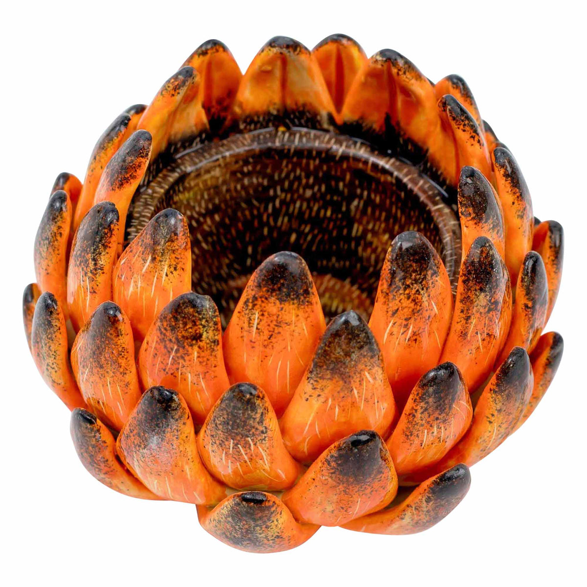 Protea Eggcup