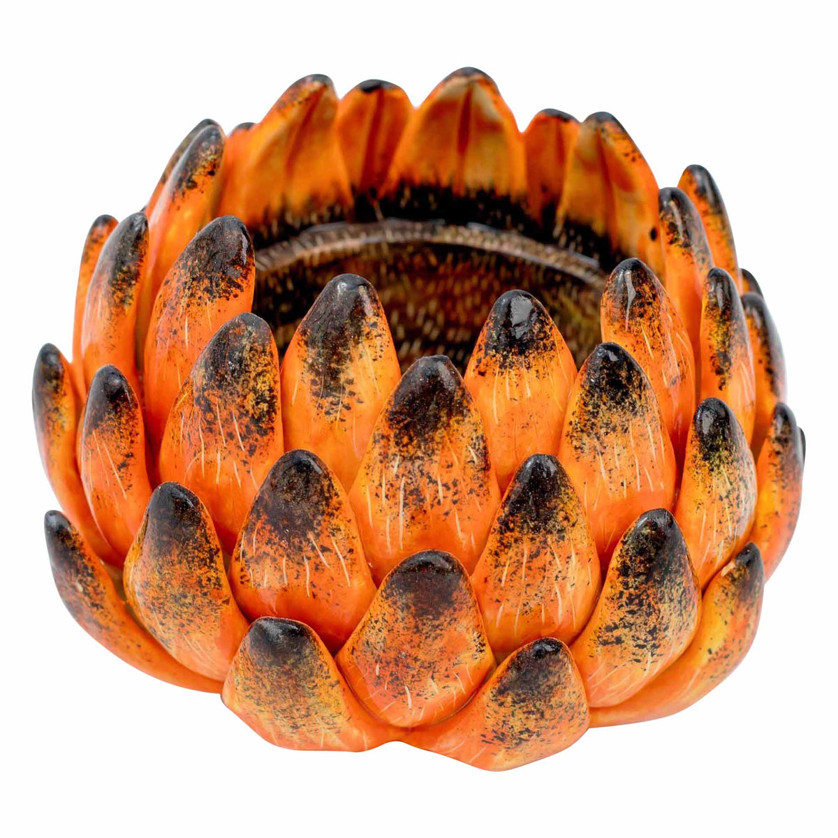 Protea Eggcup