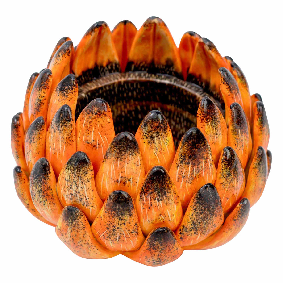 Protea Eggcup