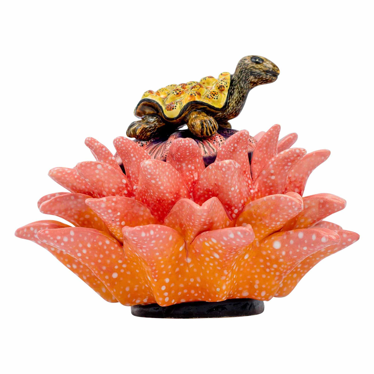 Tortoise/Protea Jewelry Box