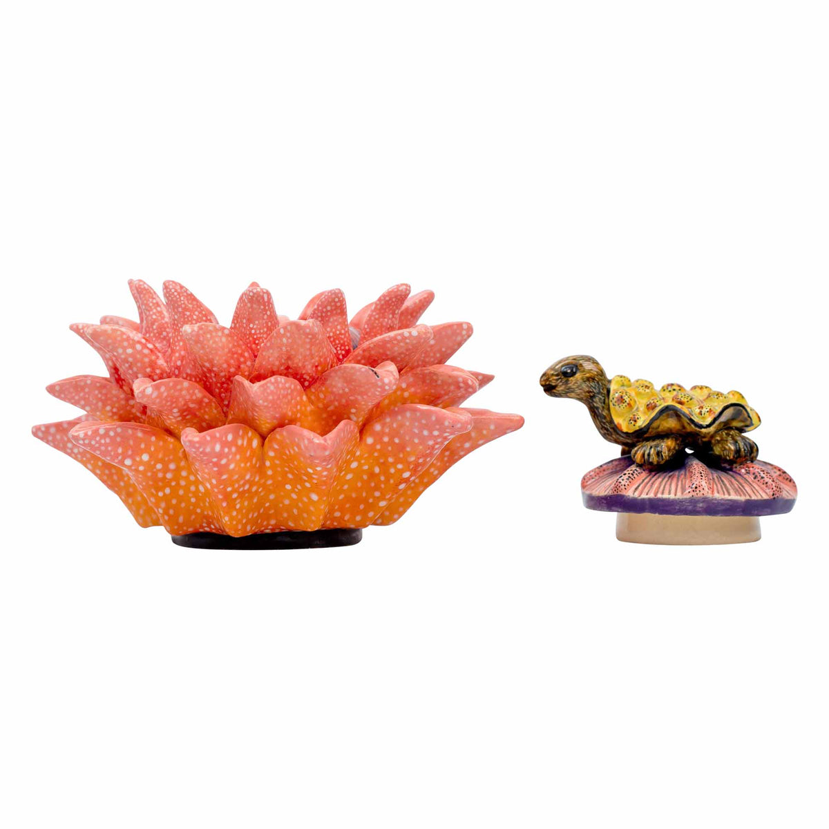 Tortoise/Protea Jewelry Box