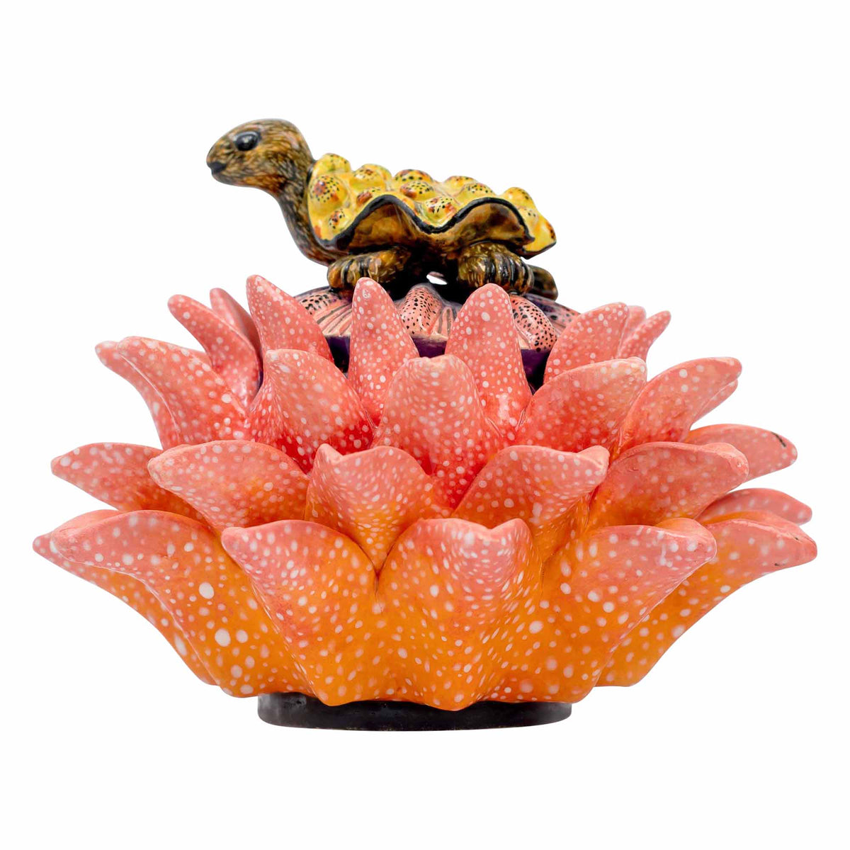 Tortoise/Protea Jewelry Box