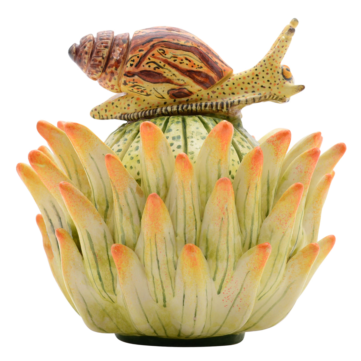 Snail, Protea Jewelry Box