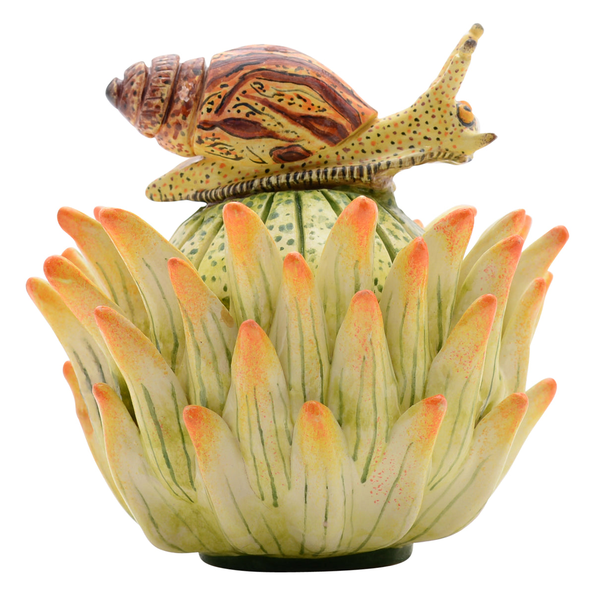Snail, Protea Jewelry Box