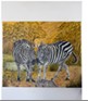 Zebra canvas
