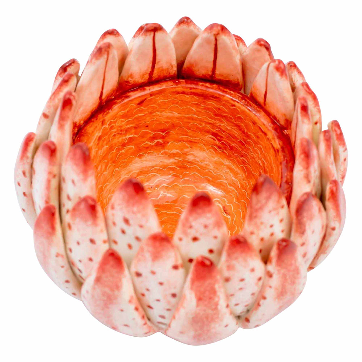 Protea Eggcup
