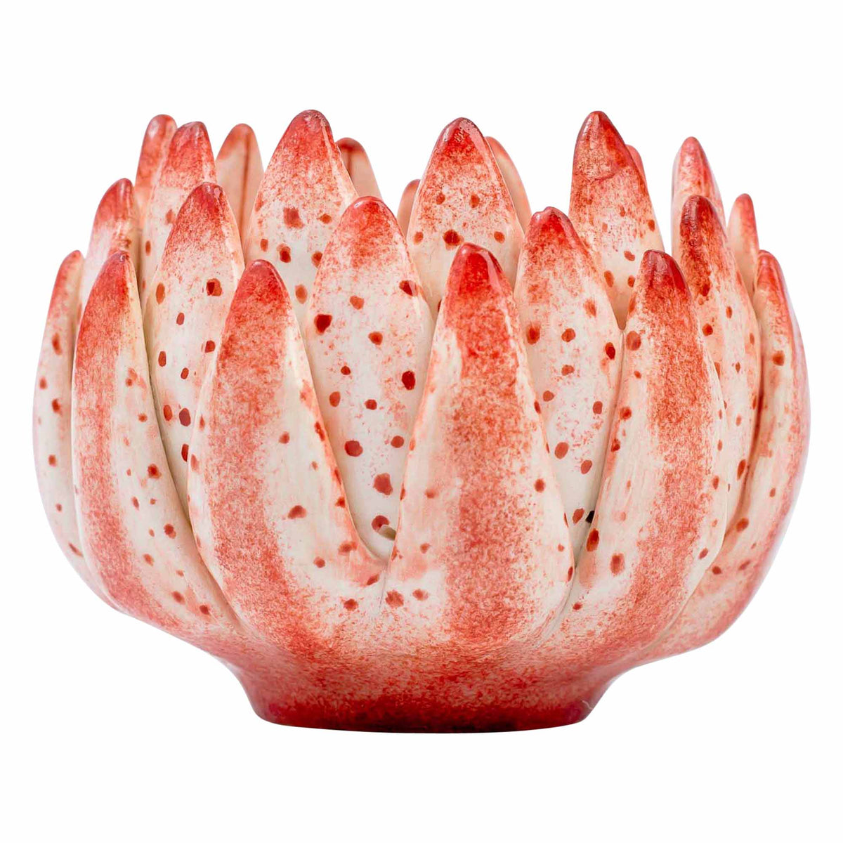 Protea Eggcup