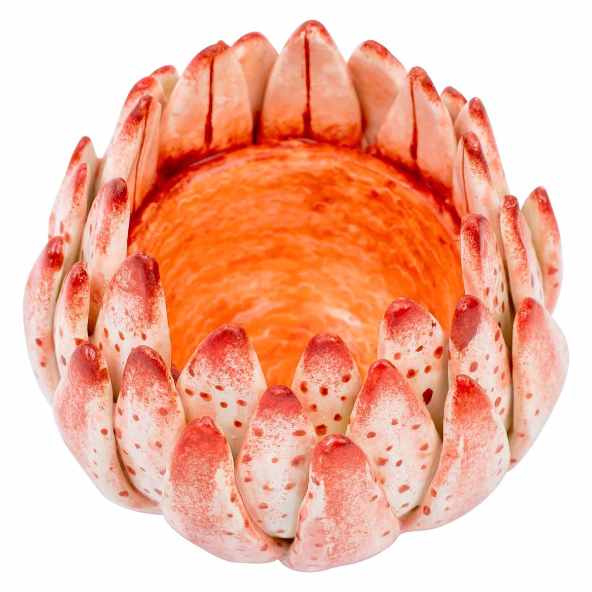Protea Eggcup