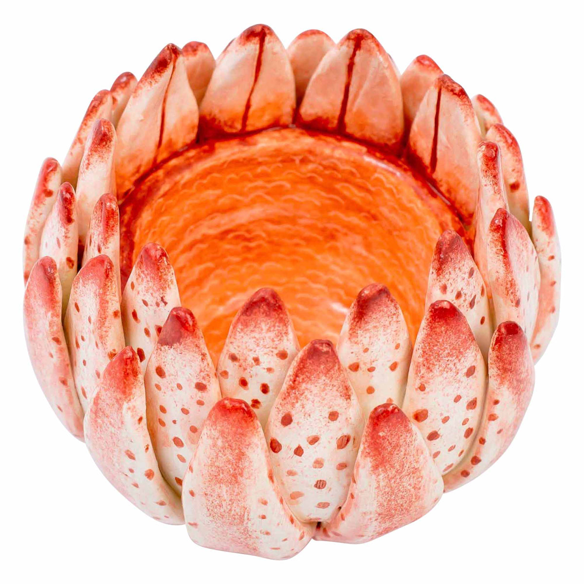 Protea Eggcup
