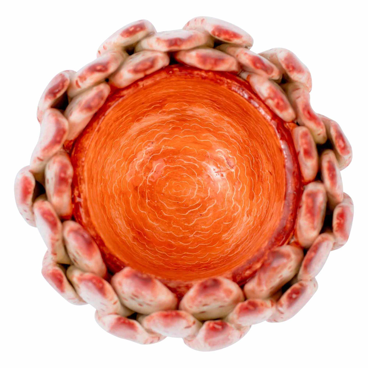 Protea Eggcup