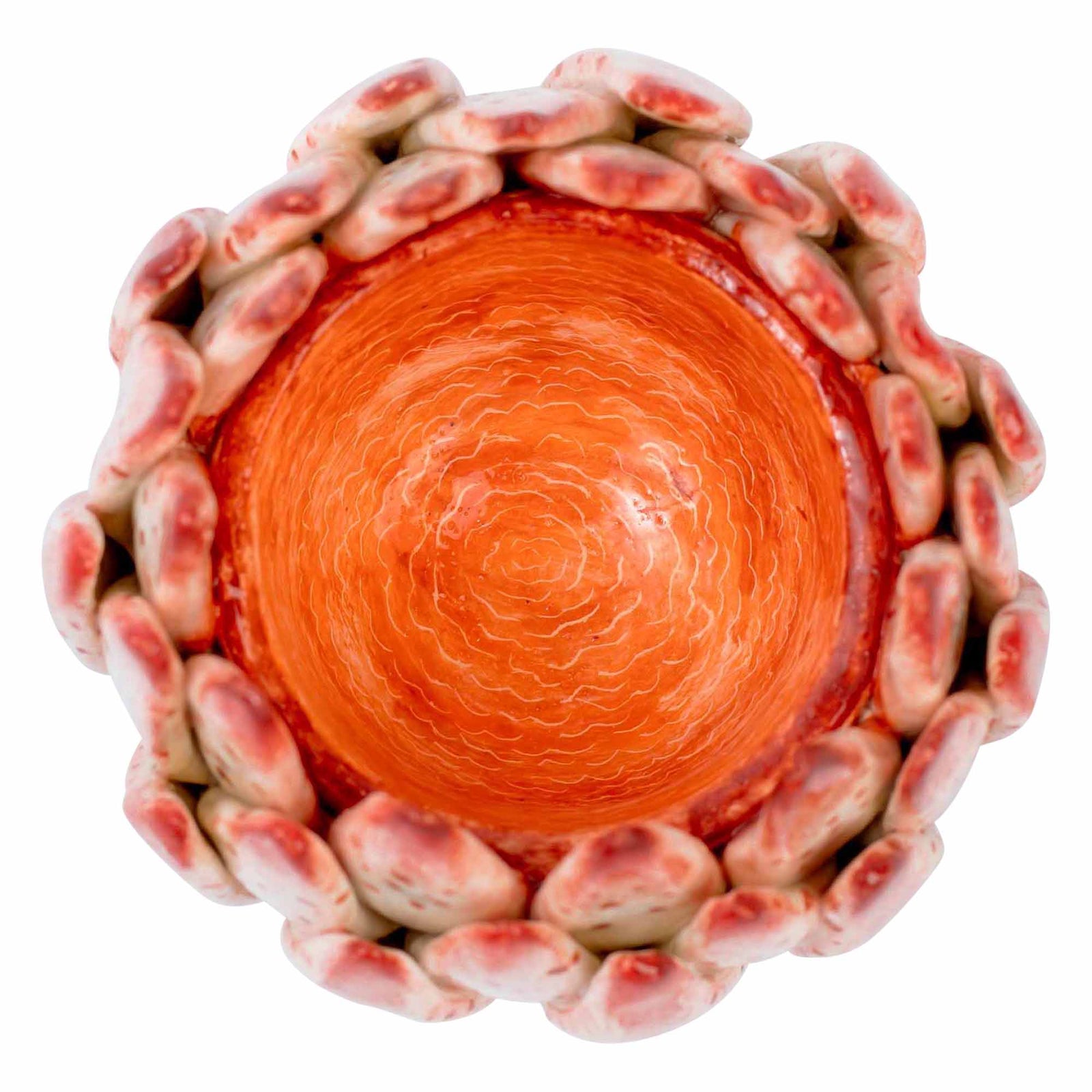 Protea Eggcup