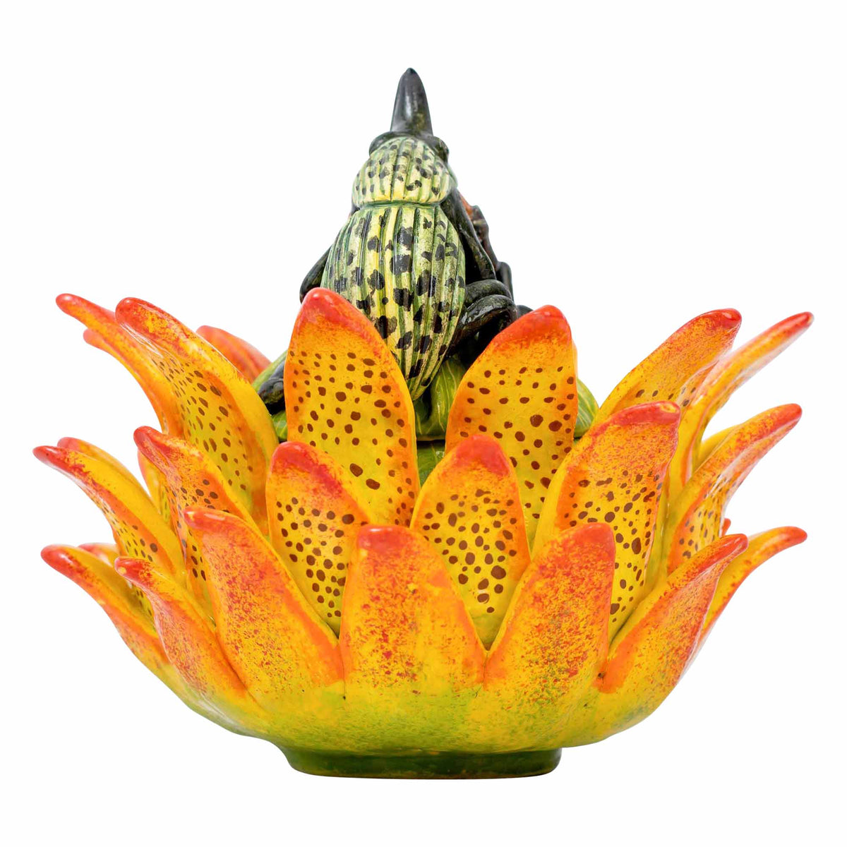 Beetle, Protea Jewelry Box