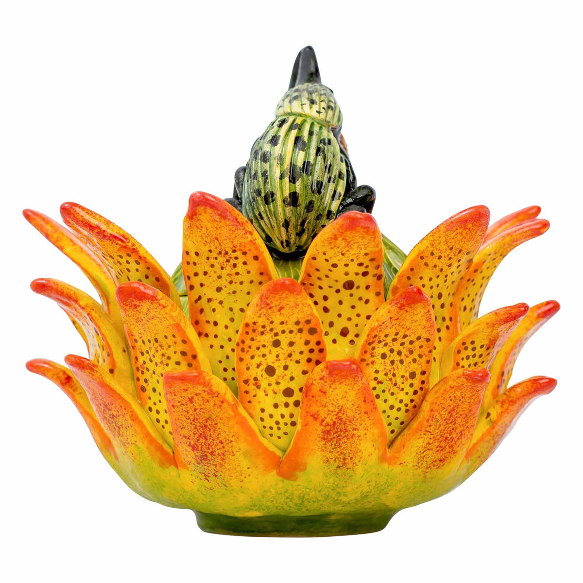 Beetle, Protea Jewelry Box