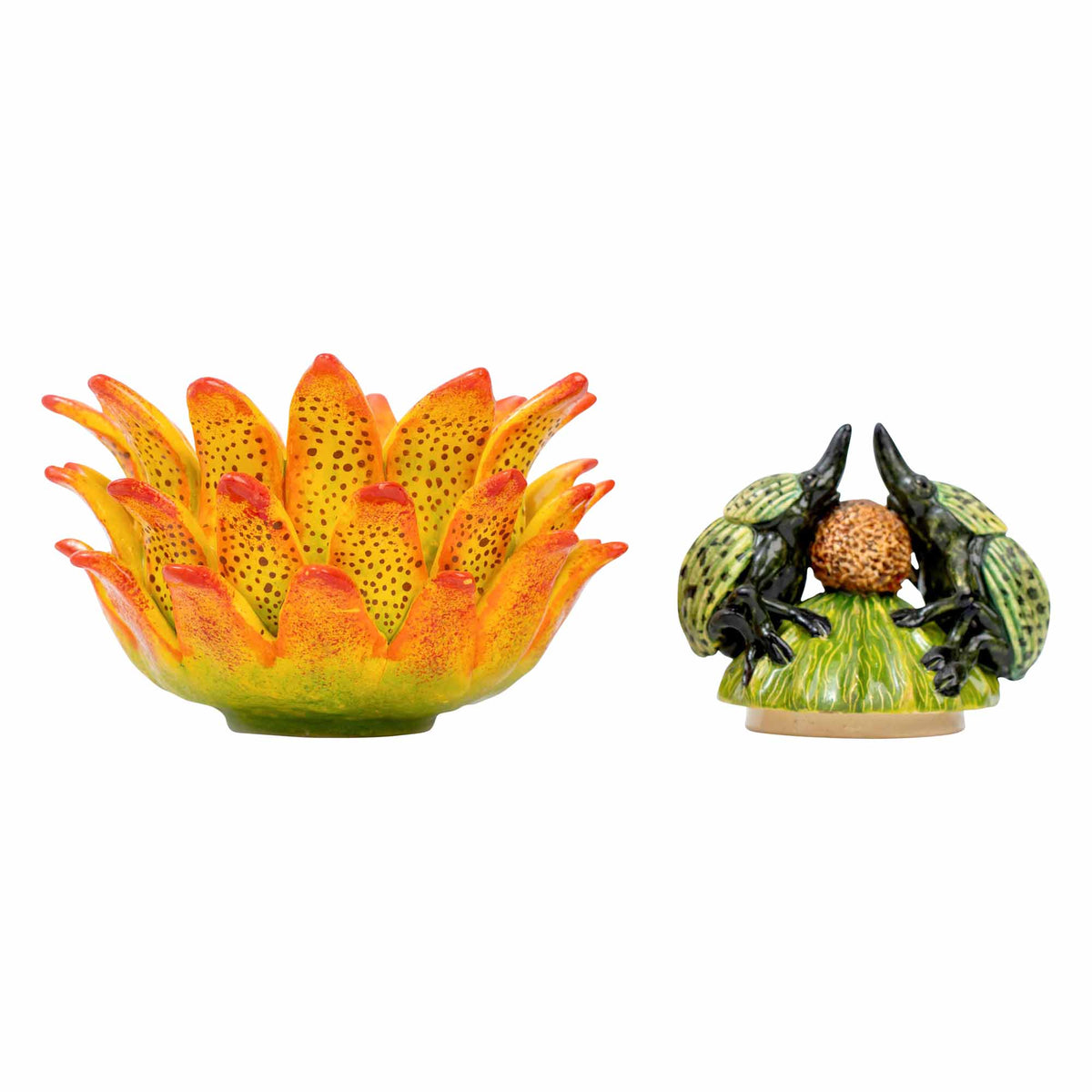 Beetle, Protea Jewelry Box
