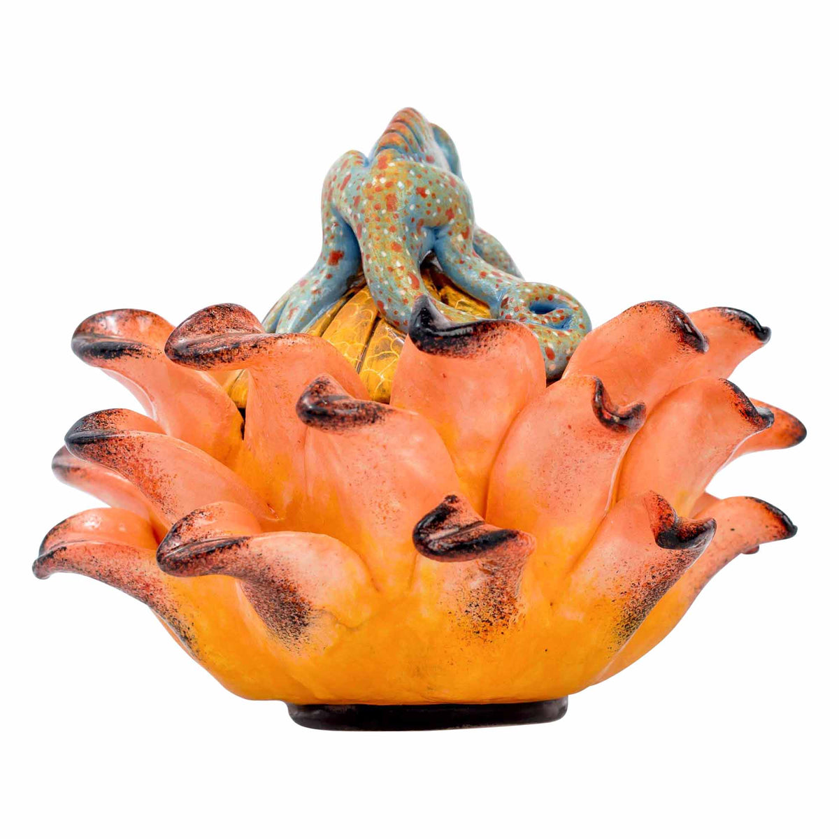 Chameleon, Protea Jewelry Box