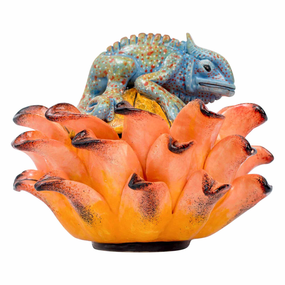 Chameleon, Protea Jewelry Box