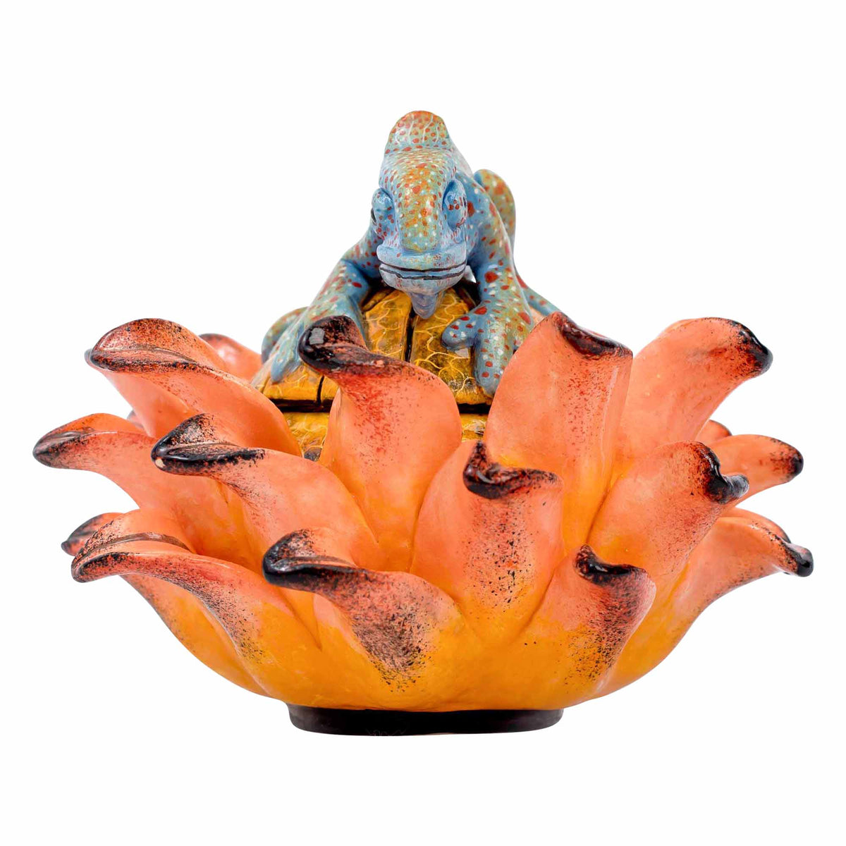 Chameleon, Protea Jewelry Box