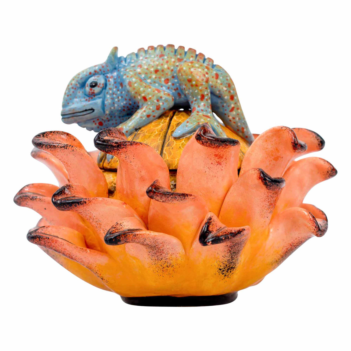 Chameleon, Protea Jewelry Box