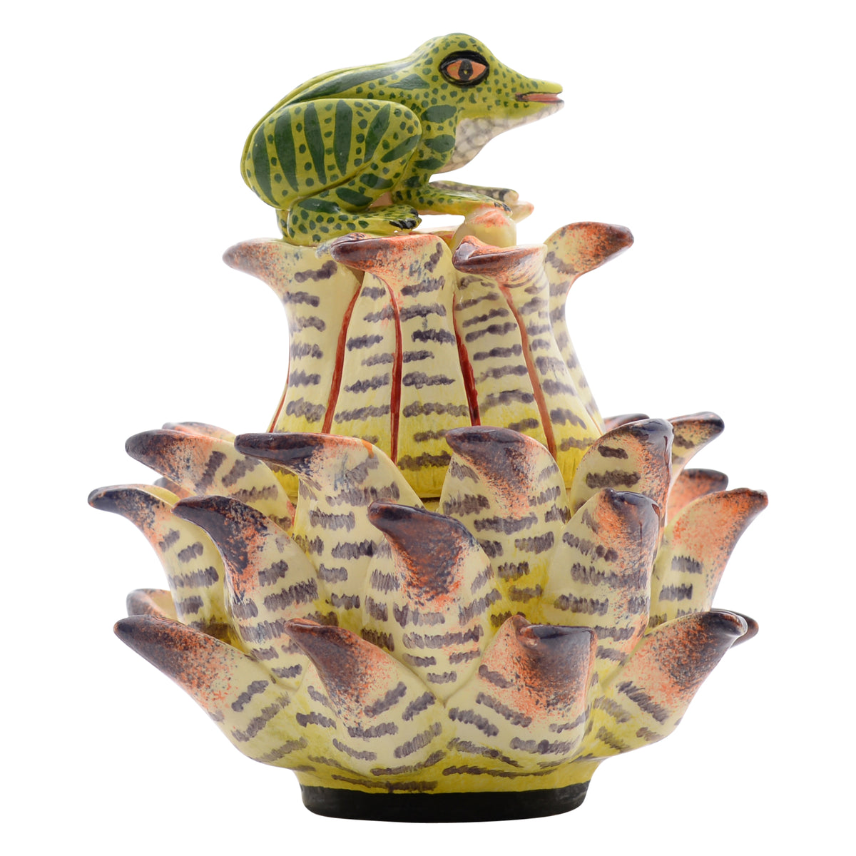 Frog, Protea Jewelry Box