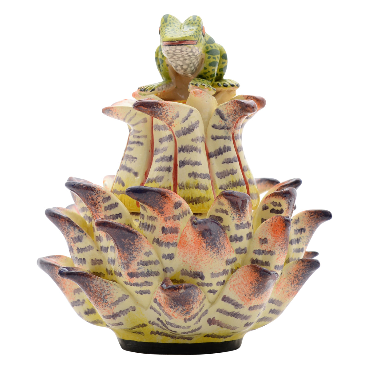 Frog, Protea Jewelry Box