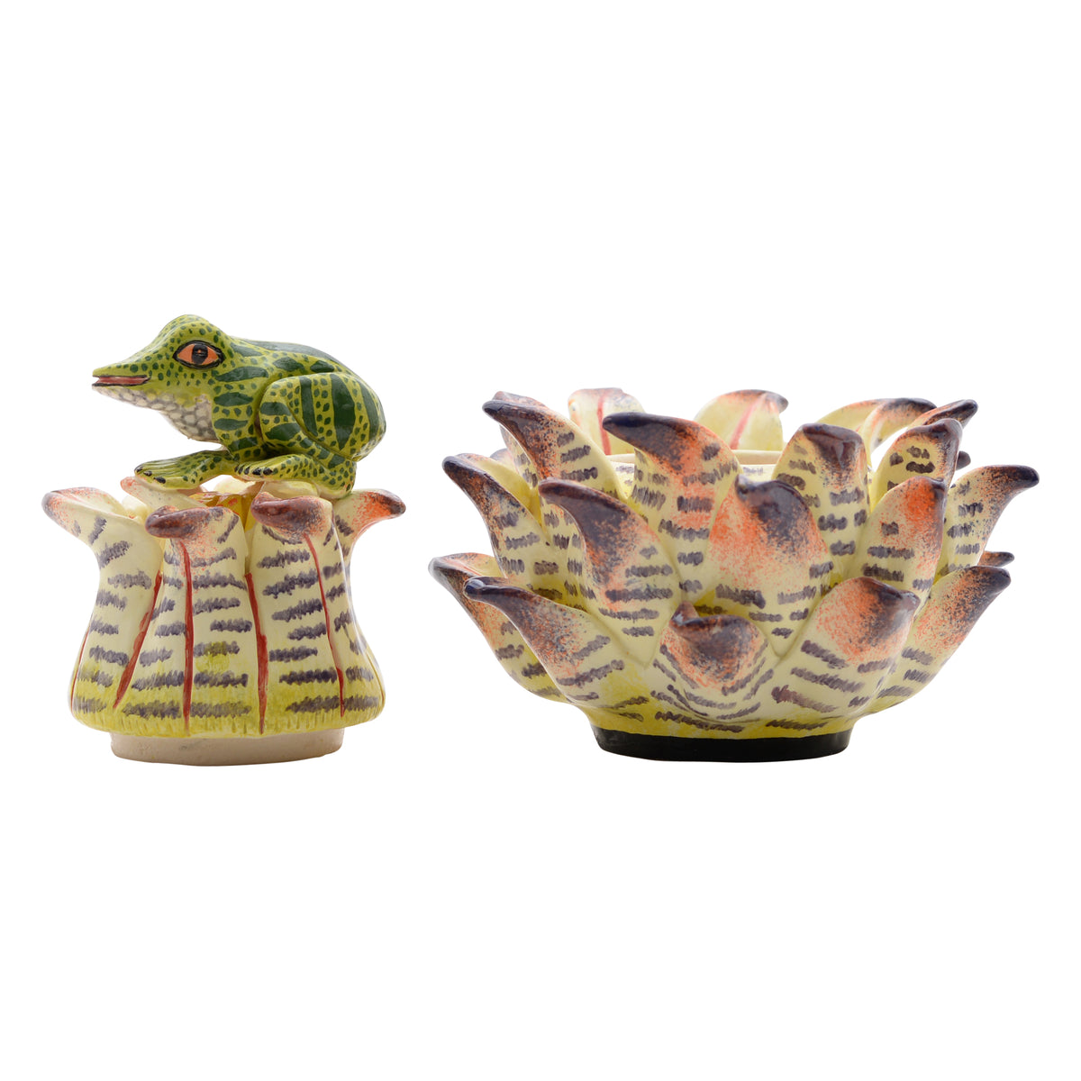 Frog, Protea Jewelry Box