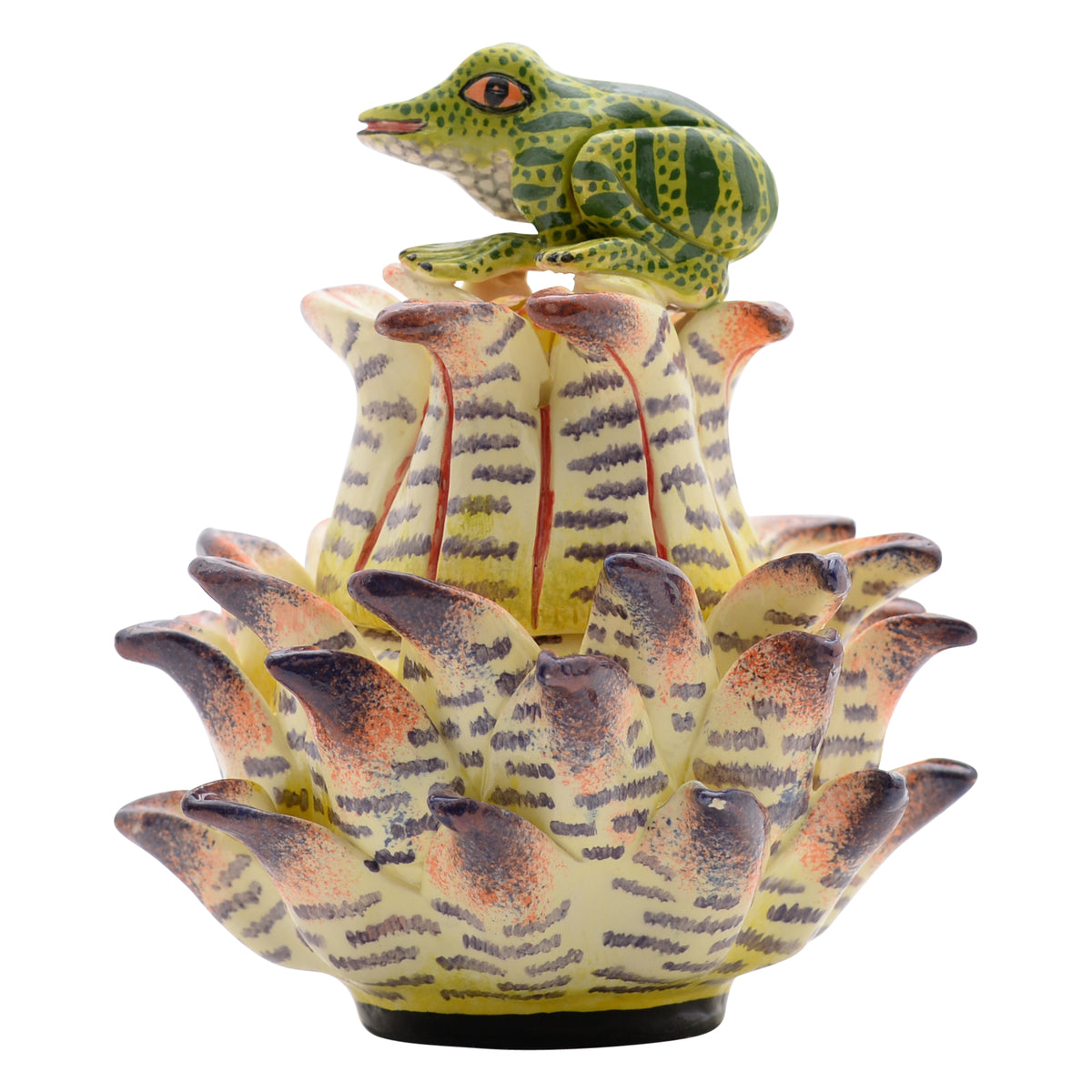 Frog, Protea Jewelry Box